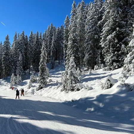 Lägenhet Panorama & Kaiser Franz Josef I Im Schiller Bad Gastein